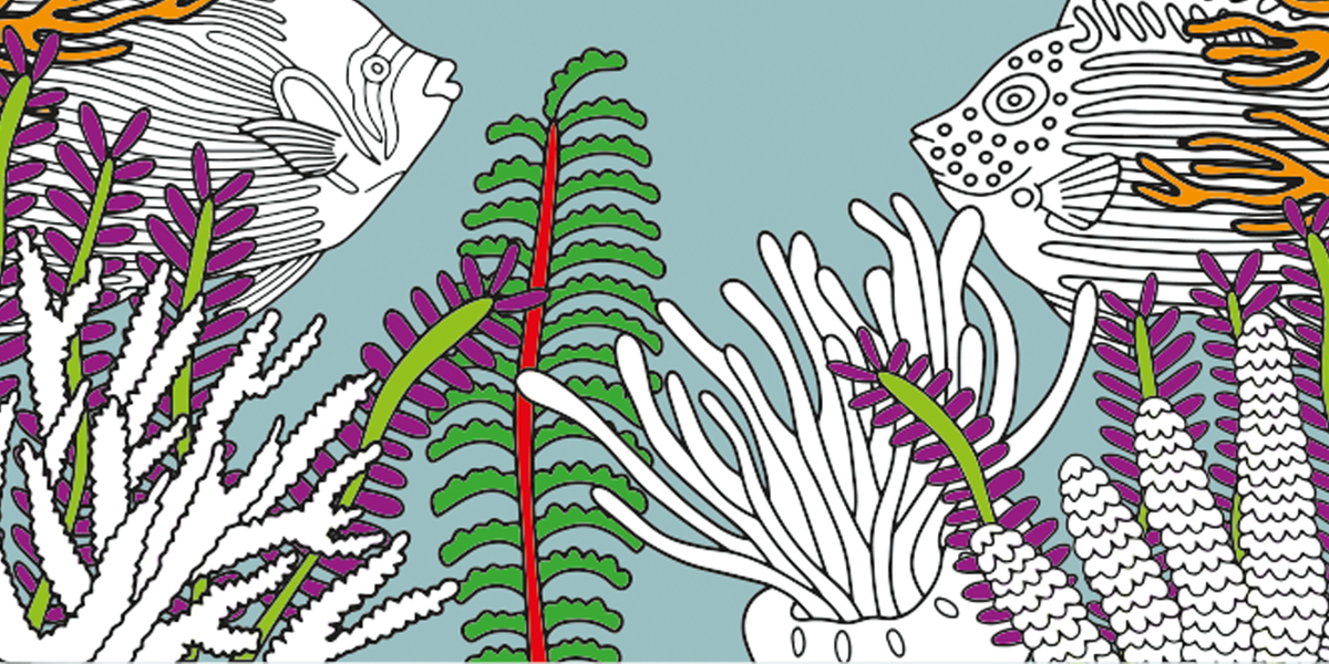Fishes of the Maldive Islands