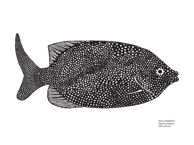 Starry Rabbit Fish